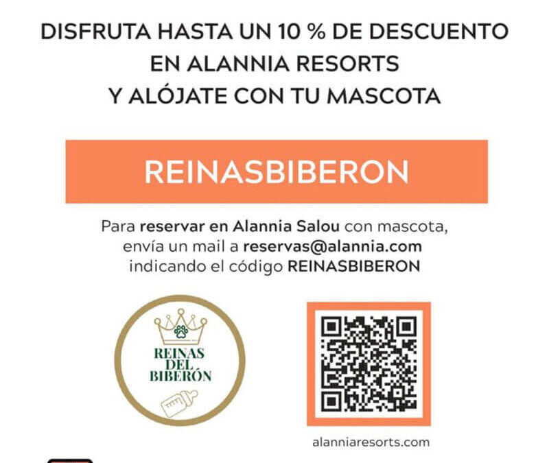 ¿Buscando vacaciones petfriendly?