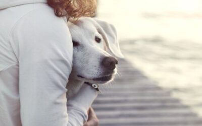 UN PERRO CONTRA LA DEPRESSION