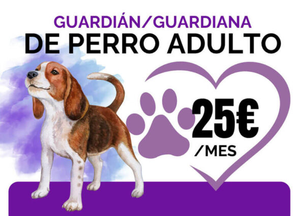 Guardián / Guardiana de perro adulto