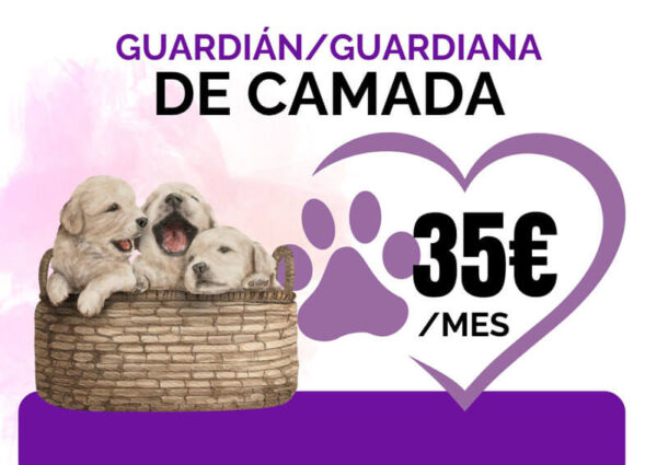 Guardián / Guardiana de camada