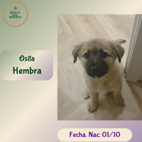 OSITA