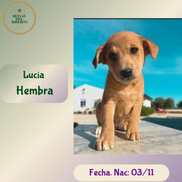 LUCIA