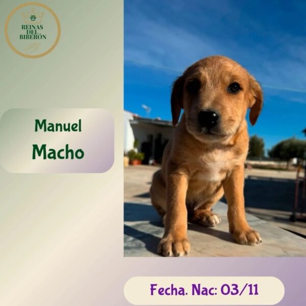 MANUEL