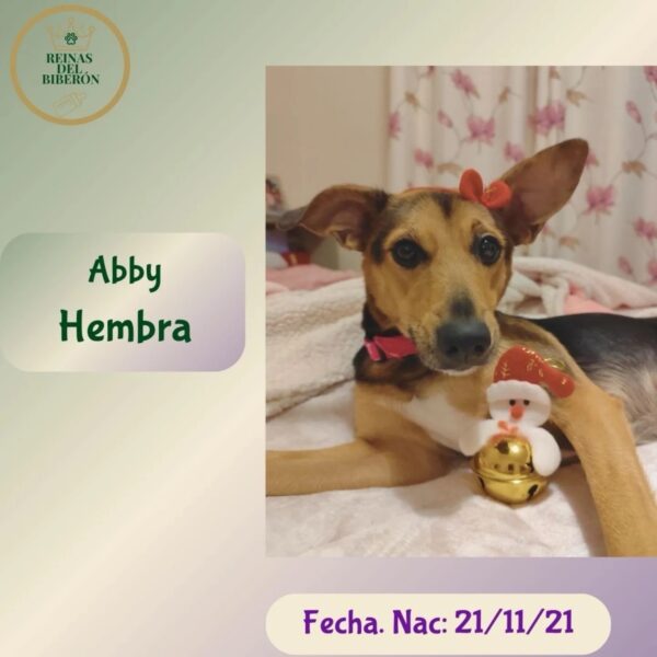 ABBY