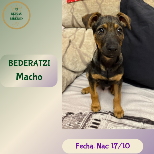 BEDERATZI