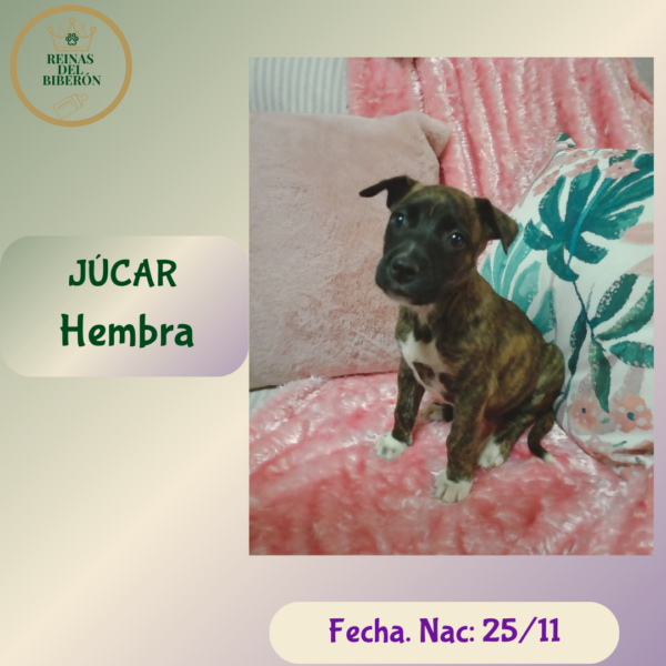 JÚCAR