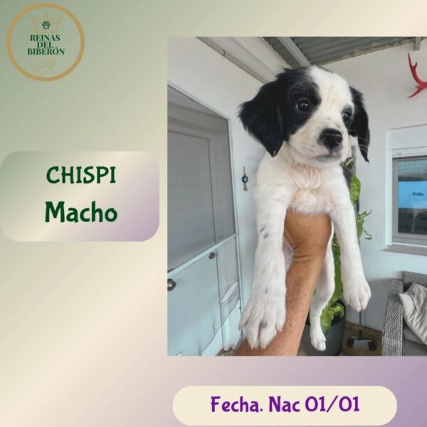 CHISPI