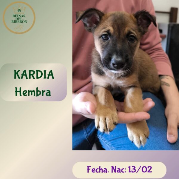 KARDIA