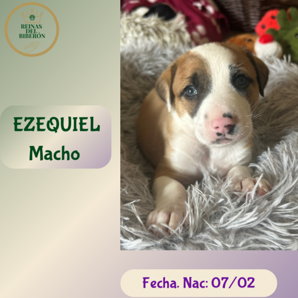 EZEQUIEL