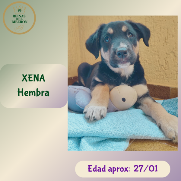 XENA