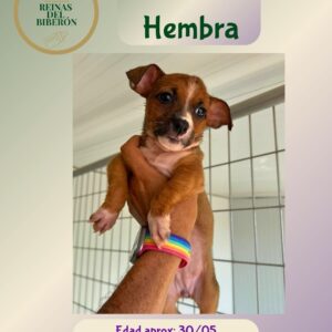TIERRA