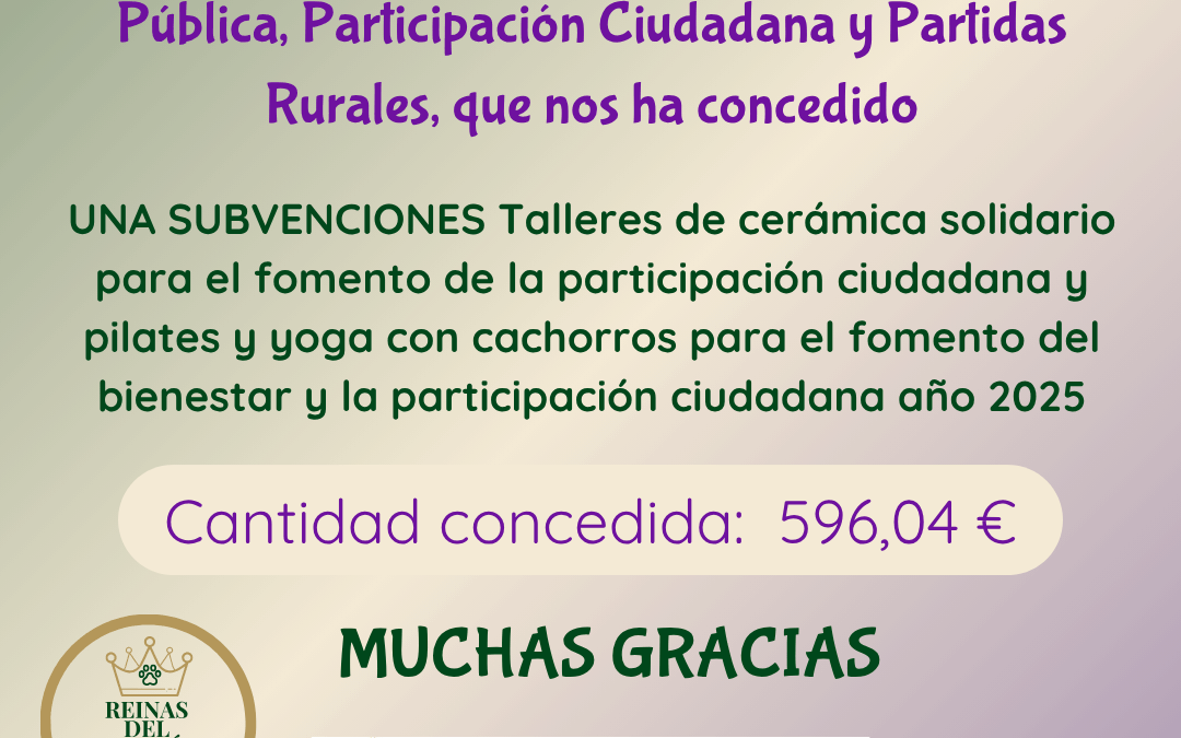 SUBVENCIÓN CONCEDIDA AYTO. ALICANTE