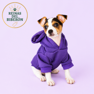 Puppy Hoodie