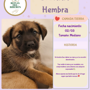 SIERRA