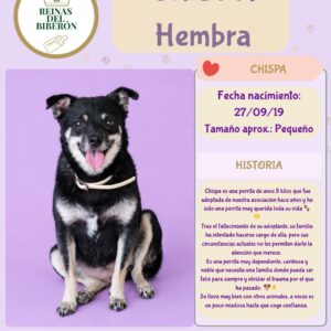 CHISPA