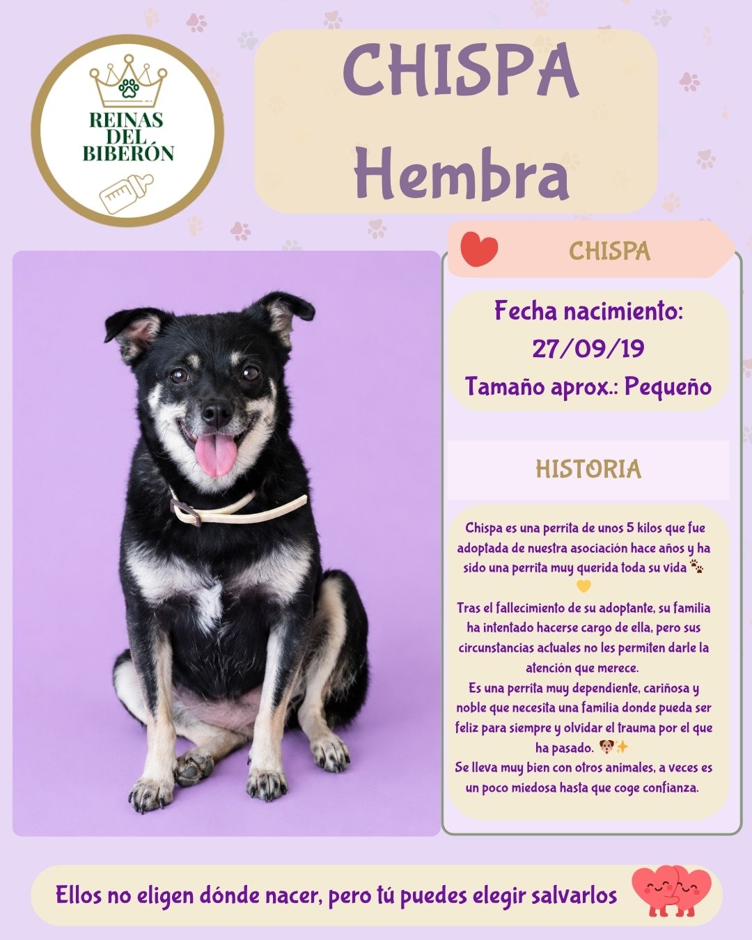 CHISPA