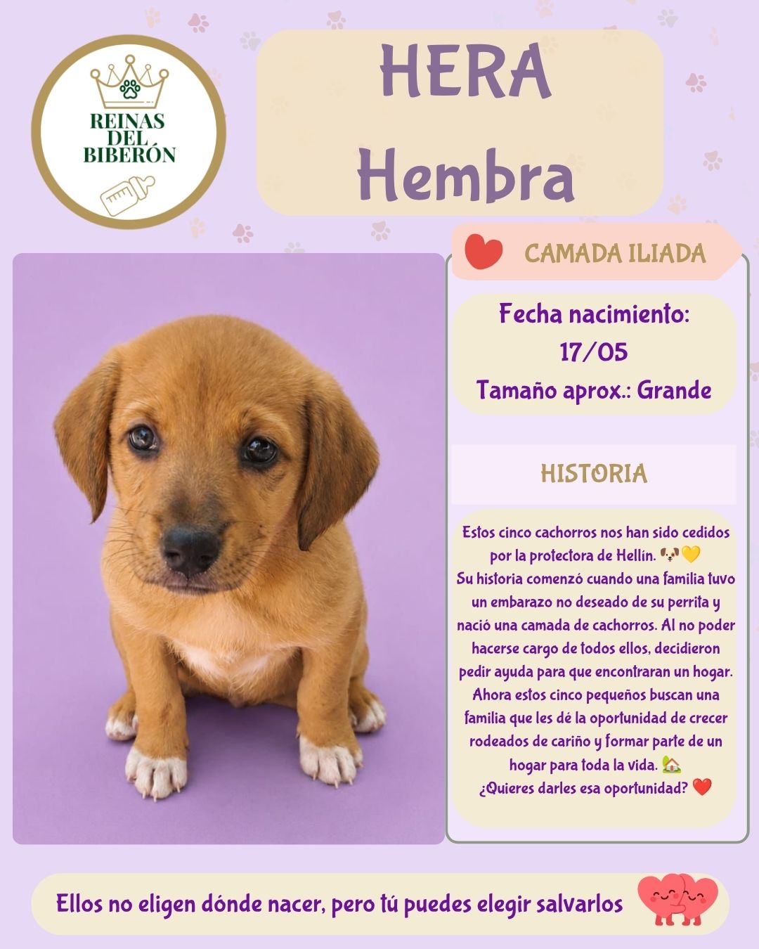 HERA