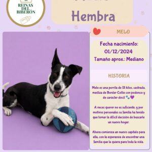 MELO