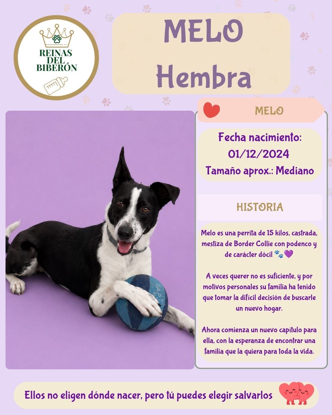 MELO