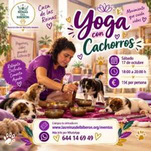 🧘‍♀️ YOGA CON CACHORROS EN ALICANTE – Clase solidaria con  Ishtar Minter  🐾💜