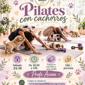 🧘‍♀️ PILATES CON CACHORROS EN CAMPELLO – Clase solidaria  🐾