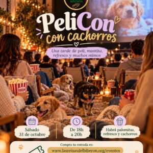 🎥✨ Cine Familiar con Palomitas, Bebidas y Cachorros 🐾🍿