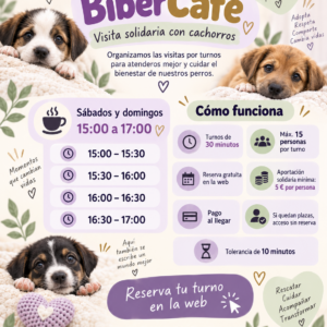 BiberCafé en Las Reinas del Biberón