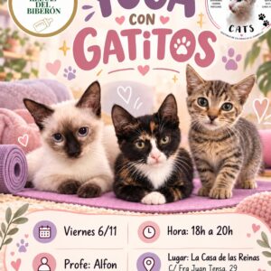 🧘‍♀️ YOGA CON GATITOS EN ALICANTE – Clase solidaria con Alfon  🐾💜