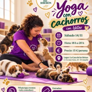 🧘‍♀️ YOGA CON CACHORROS EN ALICANTE – Clase solidaria 🐾💜