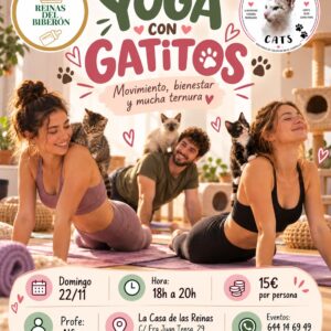 🧘‍♀️ YOGA CON GATITOS EN ALICANTE – Clase solidaria con Alfon  🐾💜