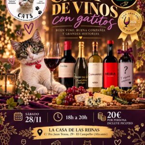 Cata de vinos con gatitos de Whitina's Cats en El Campello
